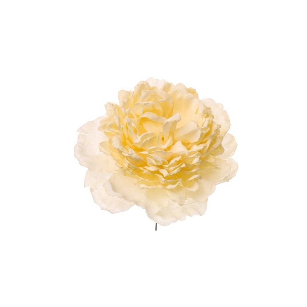 PICK PEONIA CM12 CREMA